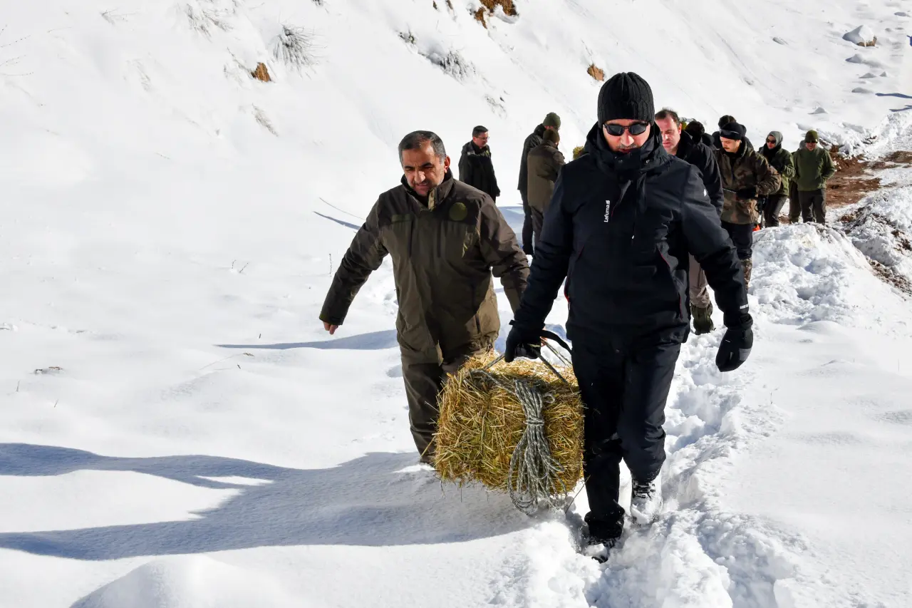 Gümüşhane’de aç kalan yaban hayvanları için seferberlik 14