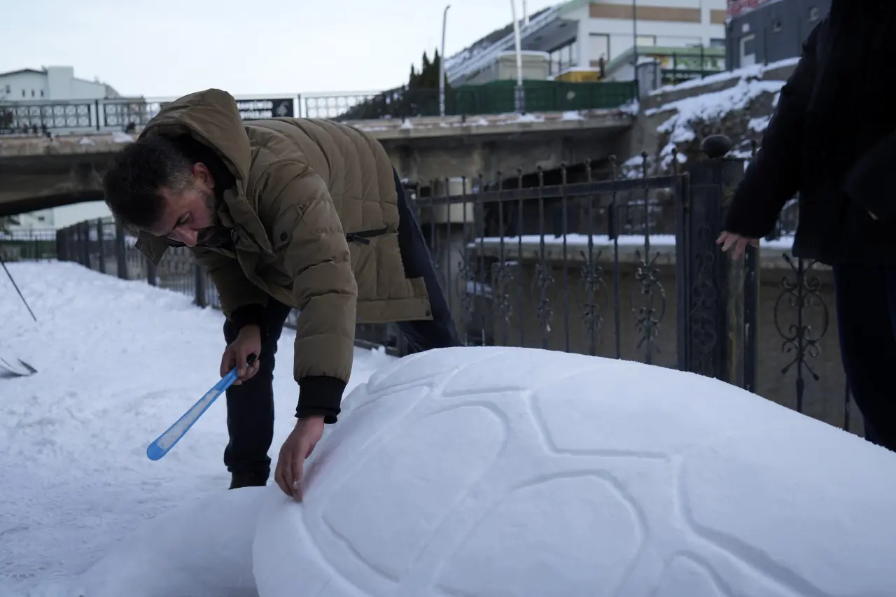 Gümüşhane'de "kardan kaplumbağa" ilgi odağı oldu 7