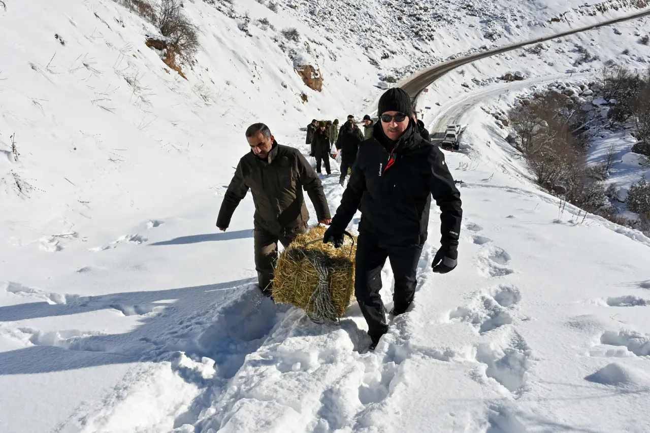 Gümüşhane’de aç kalan yaban hayvanları için seferberlik 30