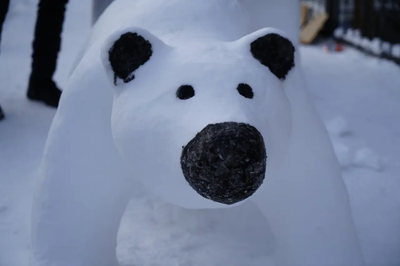Gümüşhaneli Tır Şoföründen Kar Sanatı: Anne ve Yavru Ayı Figürü Büyük İlgi Gördü 3