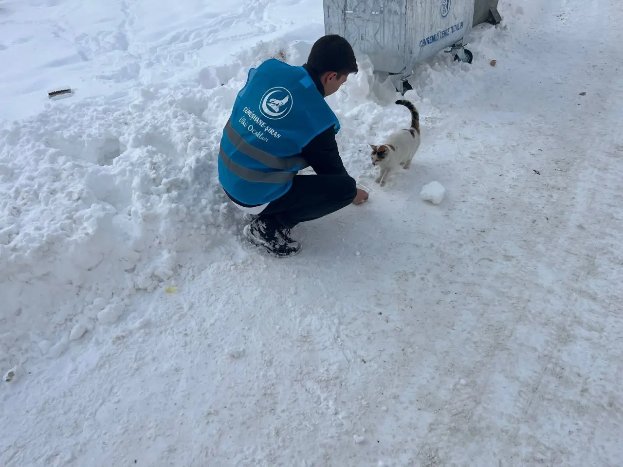 Ülkü Ocaklarından sokak hayvanlarına mama desteği 2