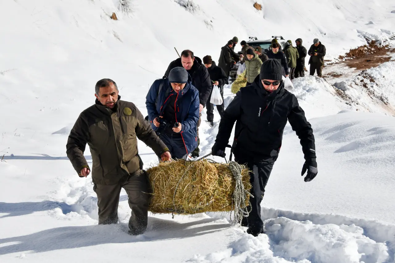 Gümüşhane’de aç kalan yaban hayvanları için seferberlik 15