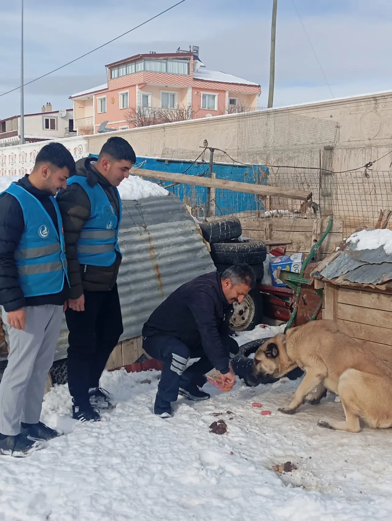 Ülkü Ocaklarından sokak hayvanlarına mama desteği 6