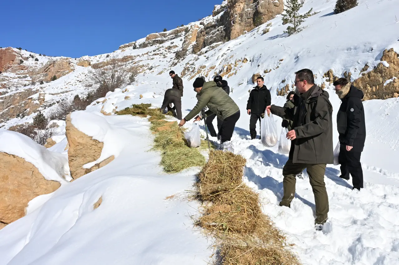 Gümüşhane’de aç kalan yaban hayvanları için seferberlik 35