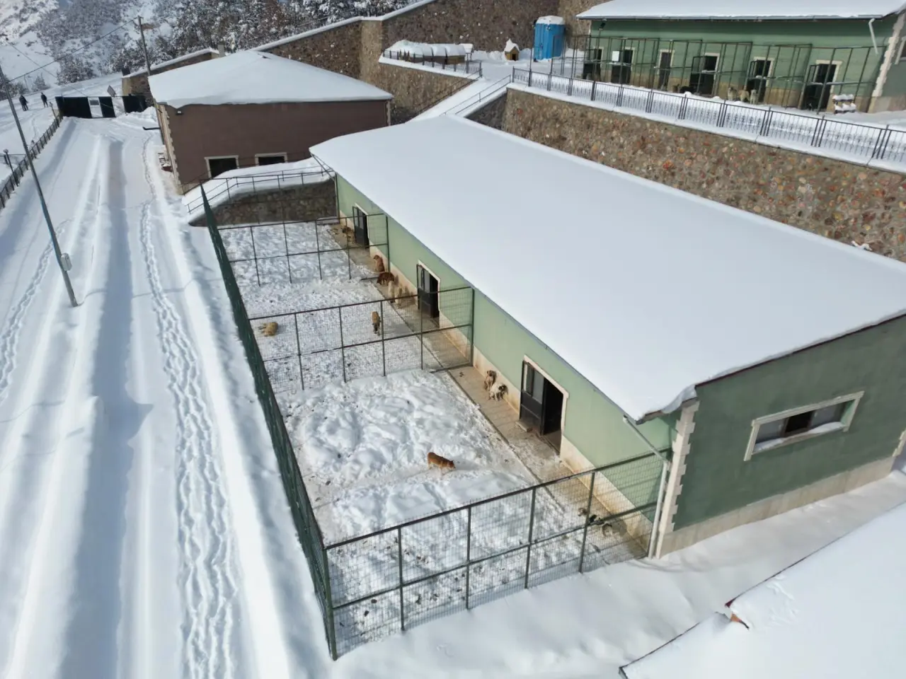 Gümüşhane Belediyesi: Barınak görüntüleri güncel değil, iddialar gerçek dışı 4