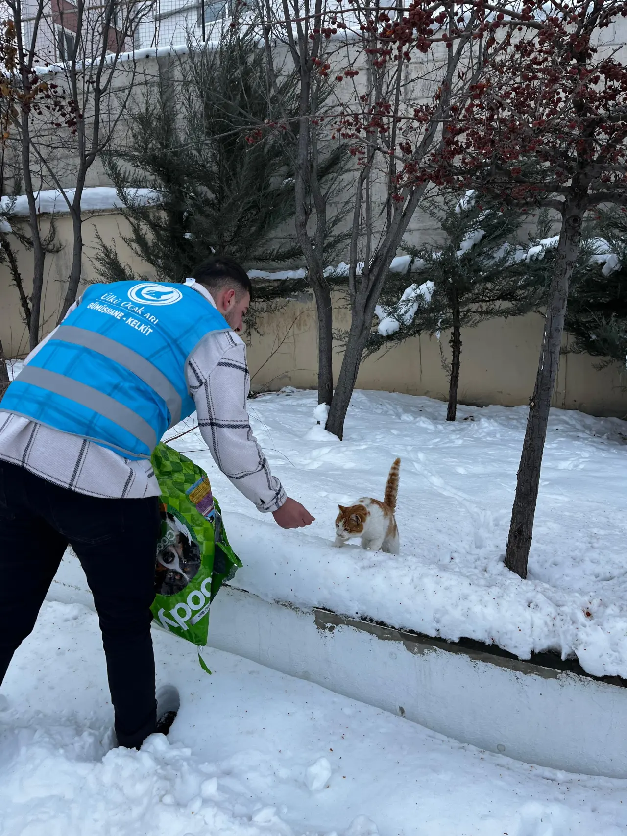 Ülkü Ocaklarından sokak hayvanlarına mama desteği 11