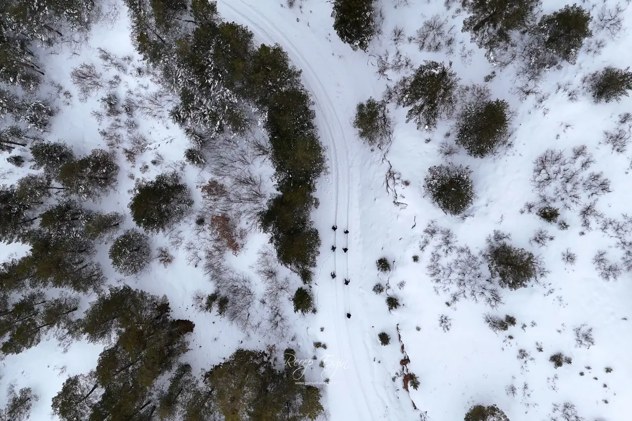 Beyaz huzurun adresi Gümüşhane! 10