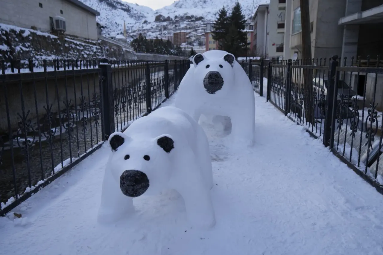Gümüşhaneli Tır Şoföründen Kar Sanatı: Anne ve Yavru Ayı Figürü Büyük İlgi Gördü 8