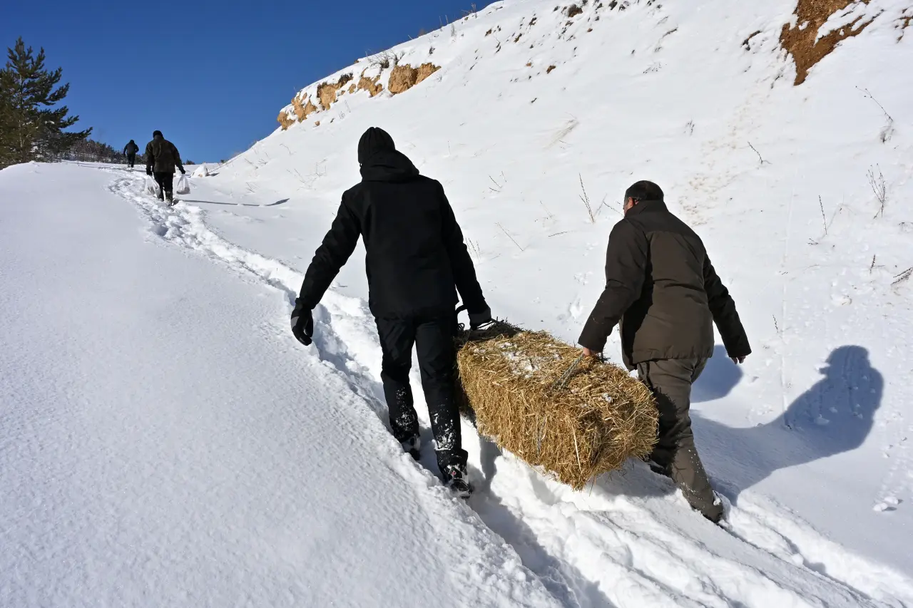 Gümüşhane’de aç kalan yaban hayvanları için seferberlik 6