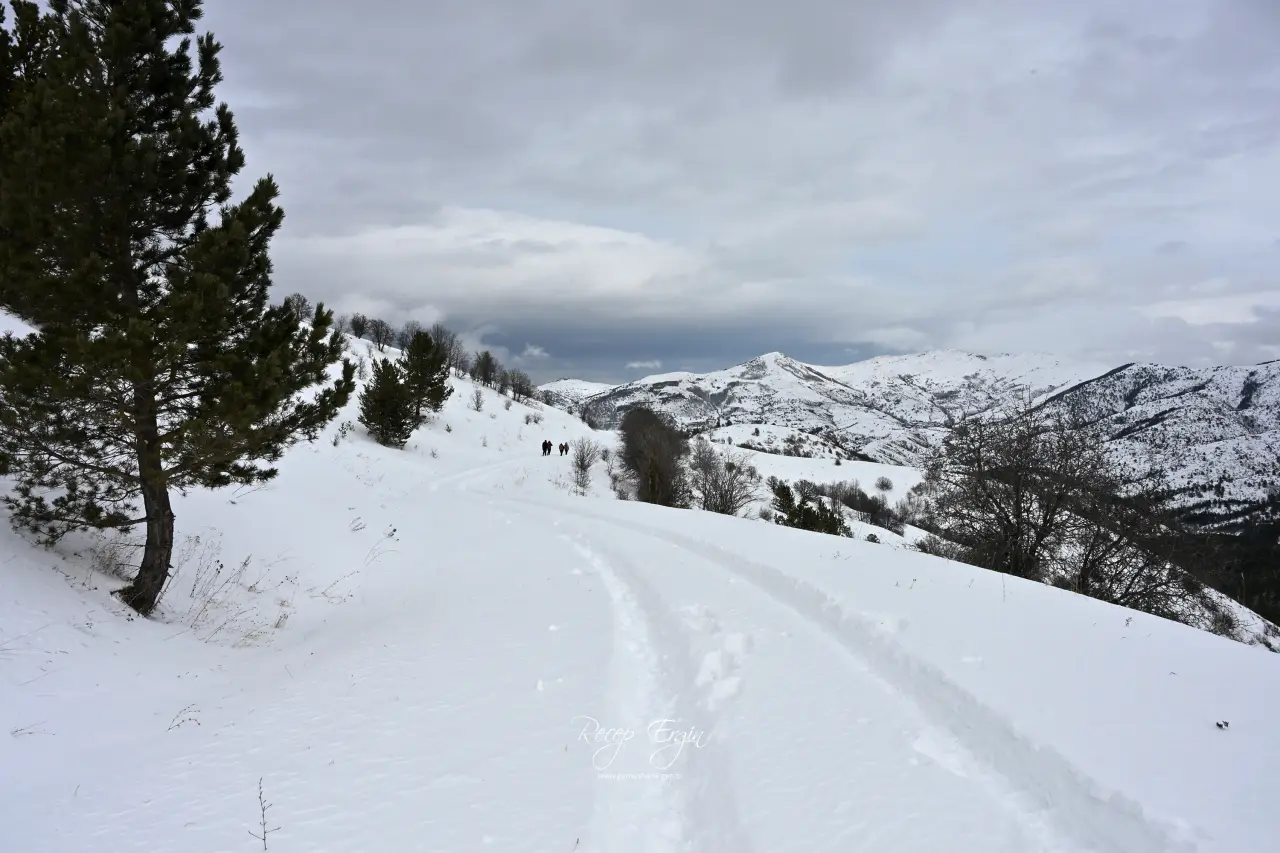 Beyaz huzurun adresi Gümüşhane! 24