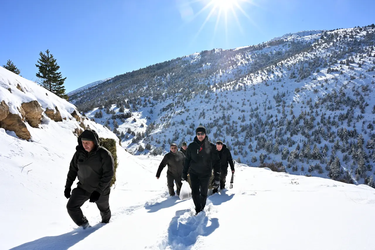 Gümüşhane’de aç kalan yaban hayvanları için seferberlik 31