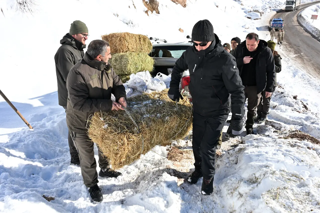 Gümüşhane’de aç kalan yaban hayvanları için seferberlik 27
