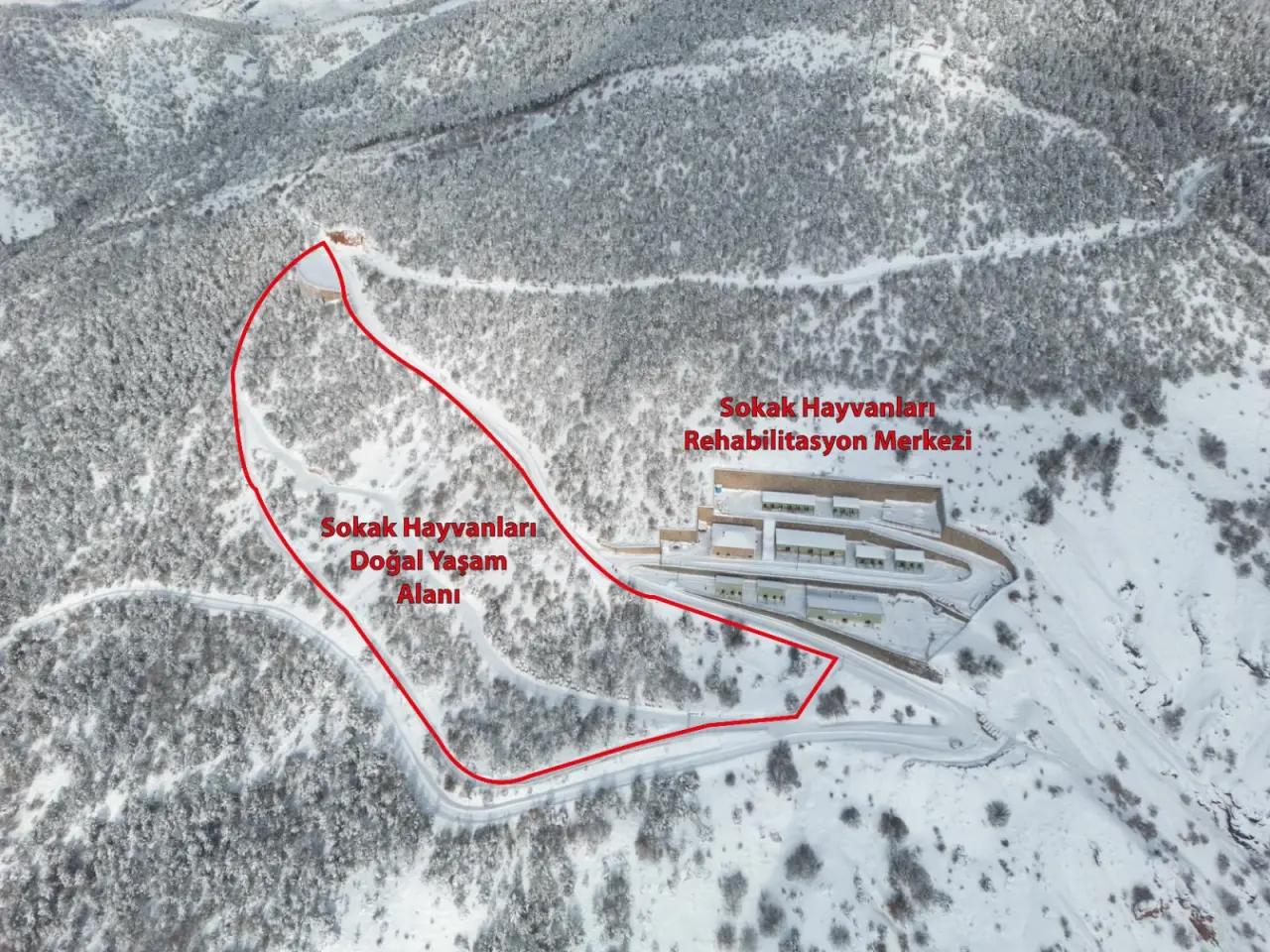 Gümüşhane Belediyesi: Barınak görüntüleri güncel değil, iddialar gerçek dışı 1