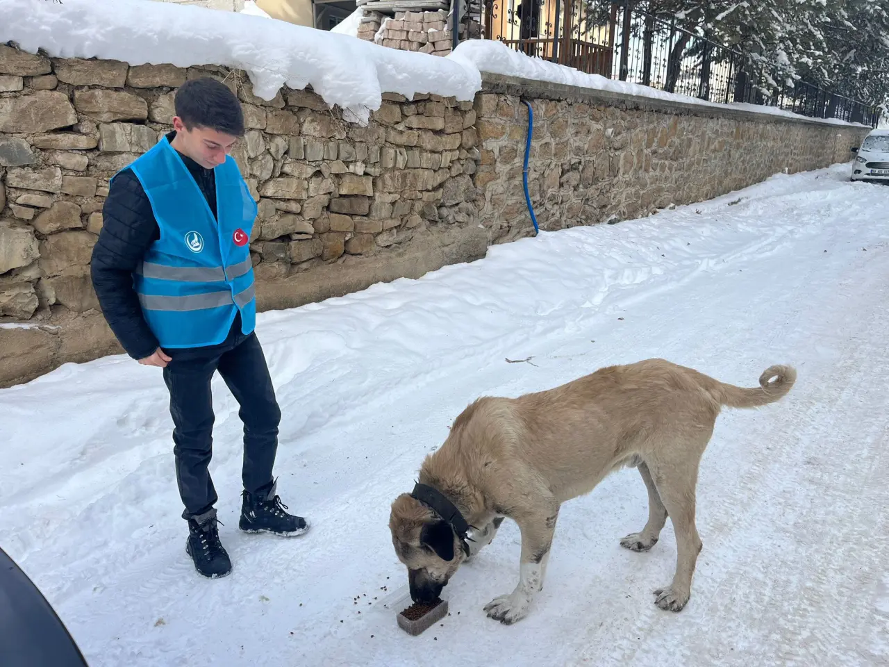 Ülkü Ocaklarından sokak hayvanlarına mama desteği 3