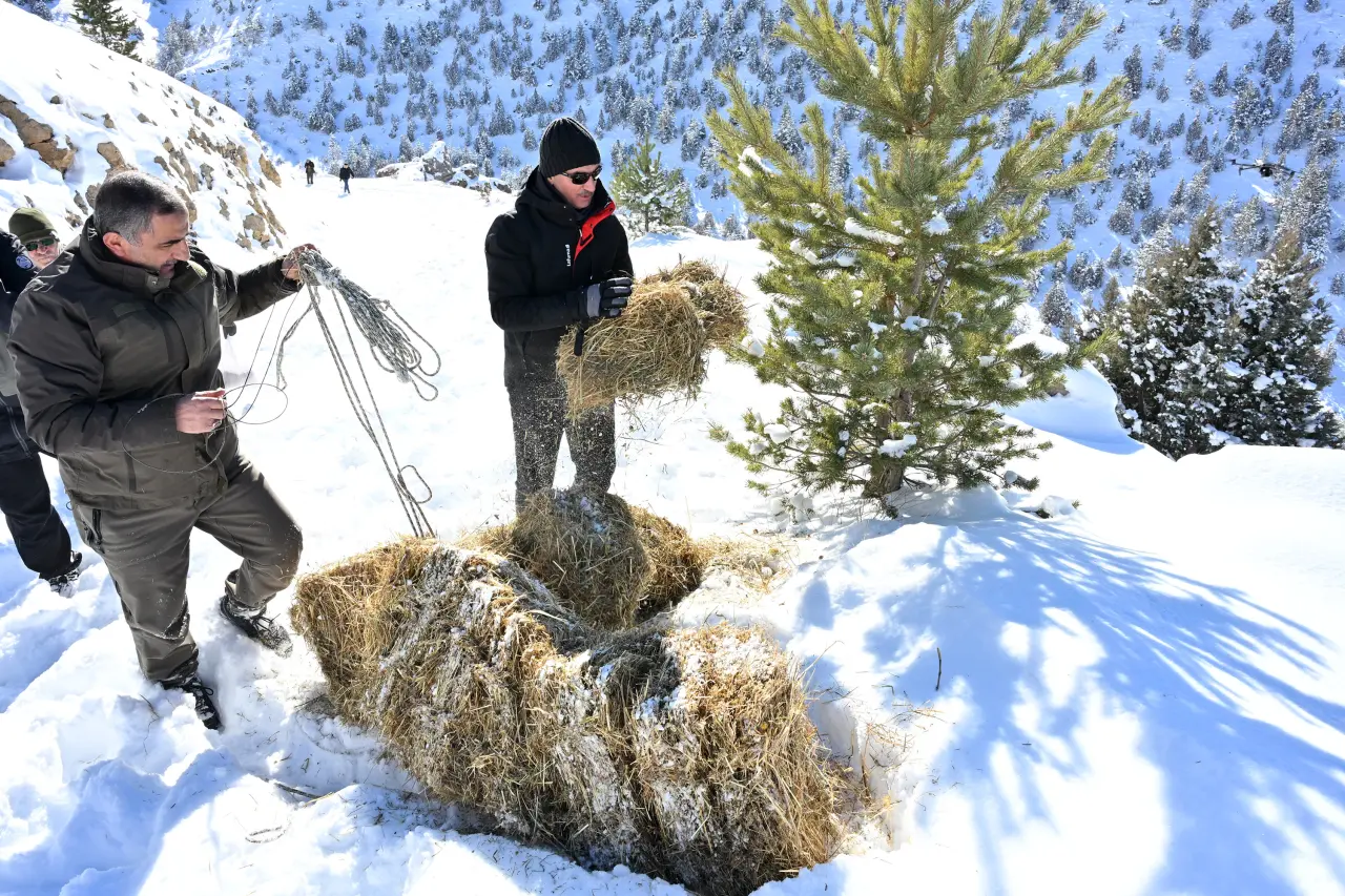 Gümüşhane’de aç kalan yaban hayvanları için seferberlik 33