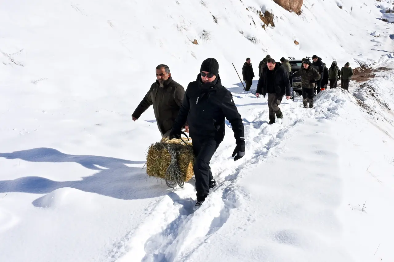 Gümüşhane’de aç kalan yaban hayvanları için seferberlik 28