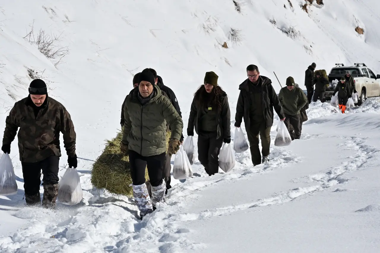 Gümüşhane’de aç kalan yaban hayvanları için seferberlik 29