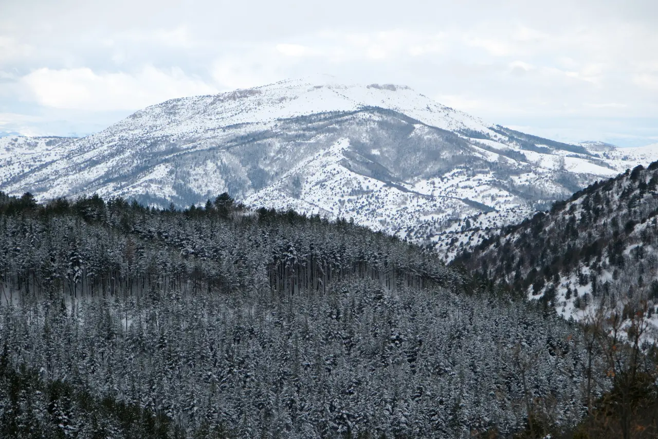 Beyaz huzurun adresi Gümüşhane! 14