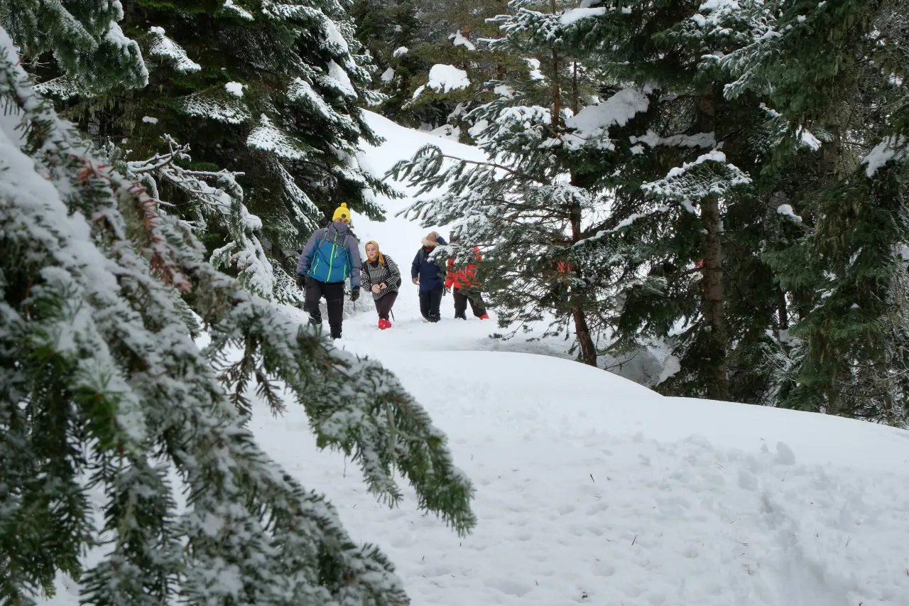 Gümüşhane’nin Alpleri Tersun Dağı’nda büyüleyici görüntüler 32