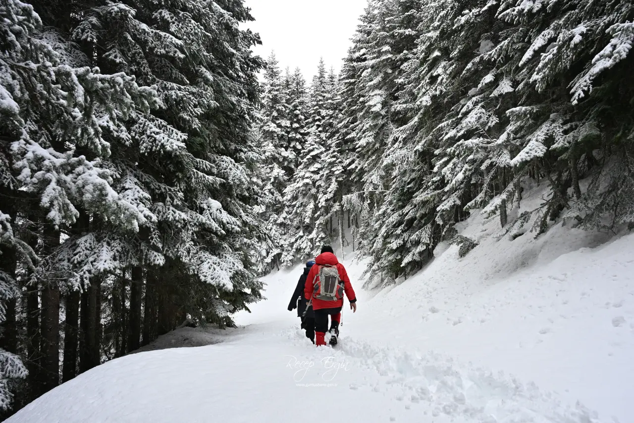 Gümüşhane’nin Alpleri Tersun Dağı’nda büyüleyici görüntüler 15