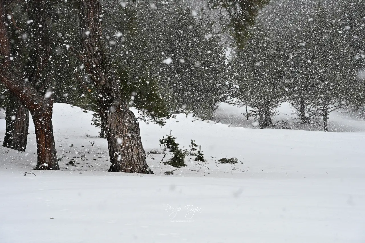 Bir günde dört mevsimi birden yaşadılar 32