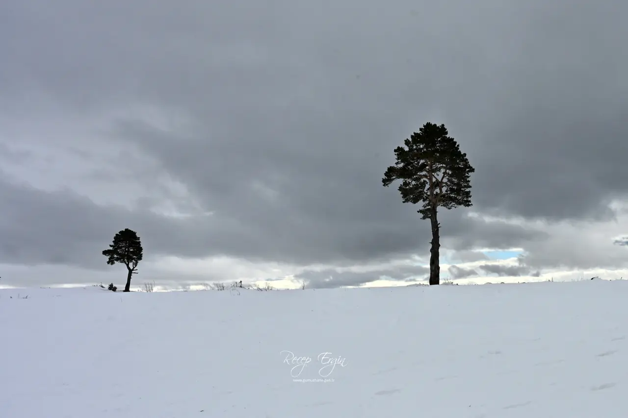 Gümüşhane’nin Alpleri Tersun Dağı’nda büyüleyici görüntüler 22