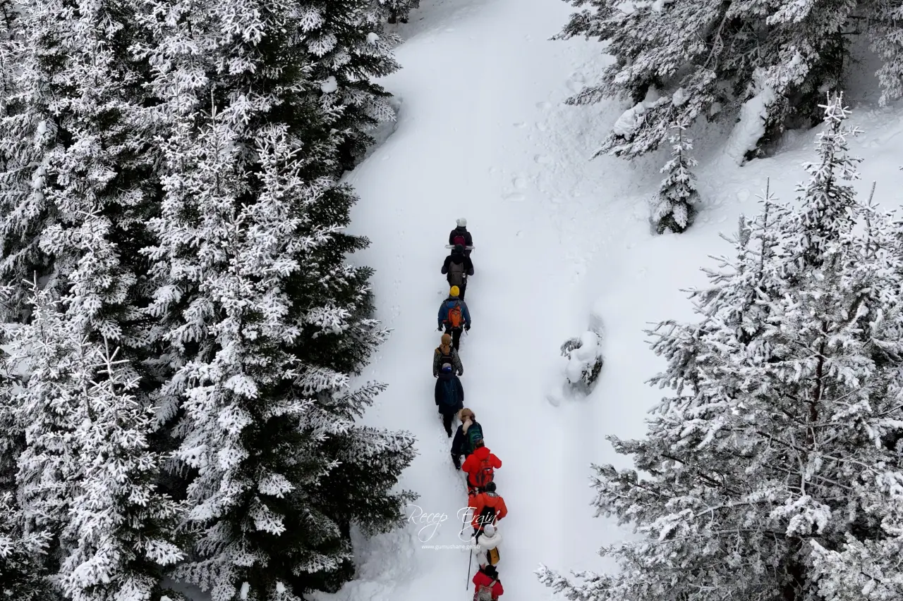 Gümüşhane’nin Alpleri Tersun Dağı’nda büyüleyici görüntüler 2