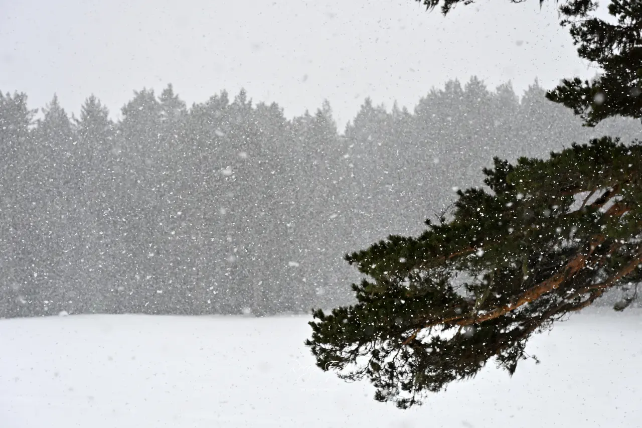 Bir günde dört mevsimi birden yaşadılar 31