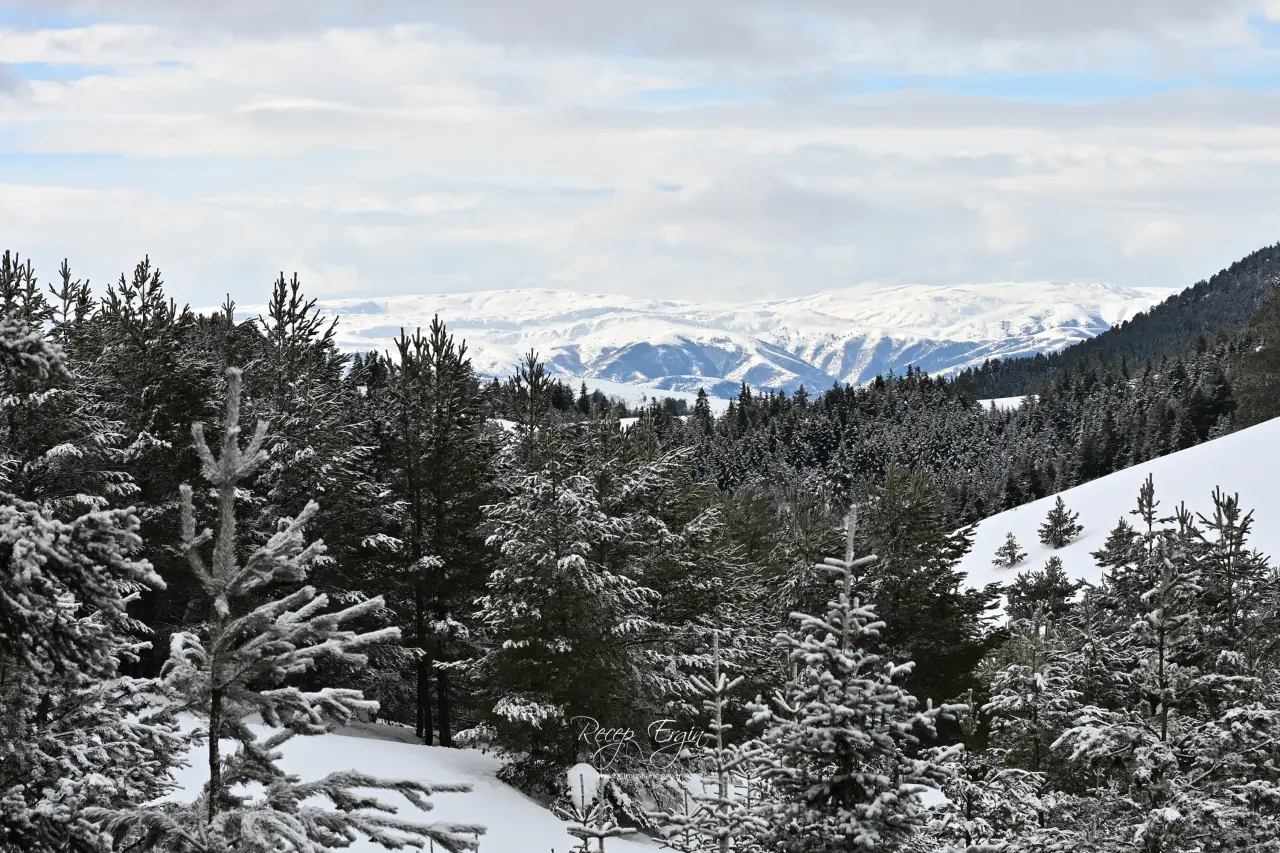 Gümüşhane’nin Alpleri Tersun Dağı’nda büyüleyici görüntüler 20