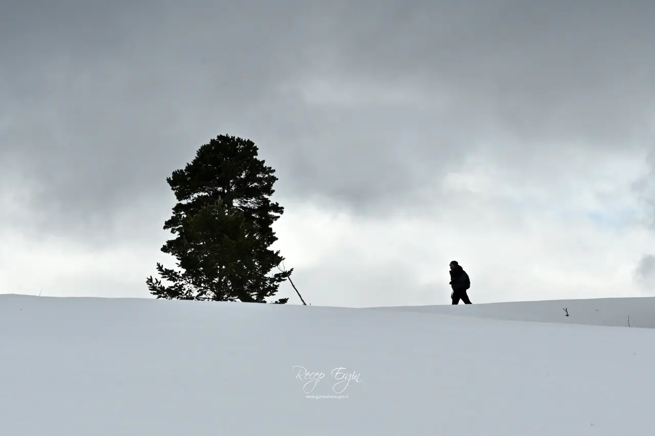 Gümüşhane’nin Alpleri Tersun Dağı’nda büyüleyici görüntüler 23