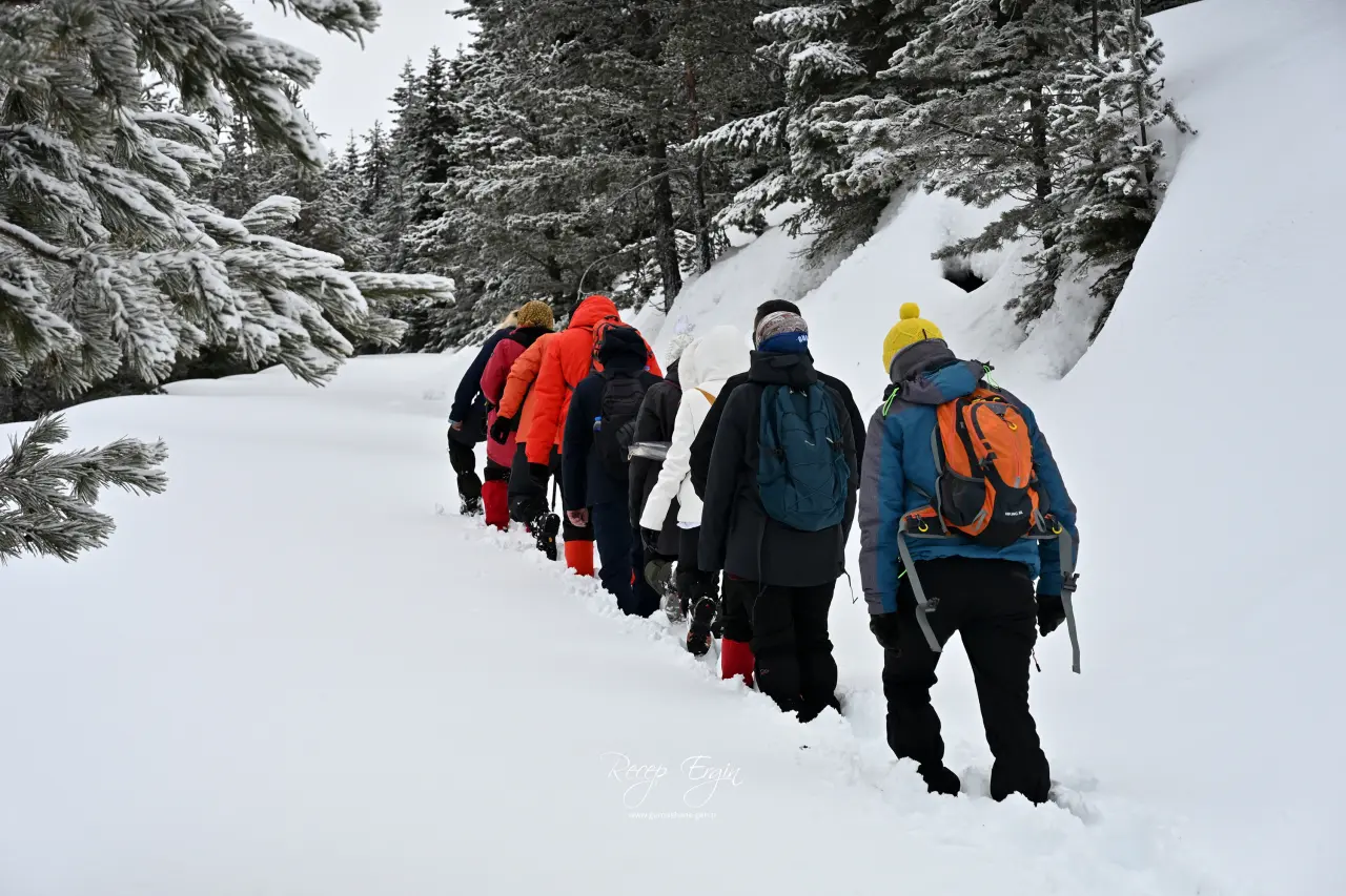 Gümüşhane’nin Alpleri Tersun Dağı’nda büyüleyici görüntüler 13