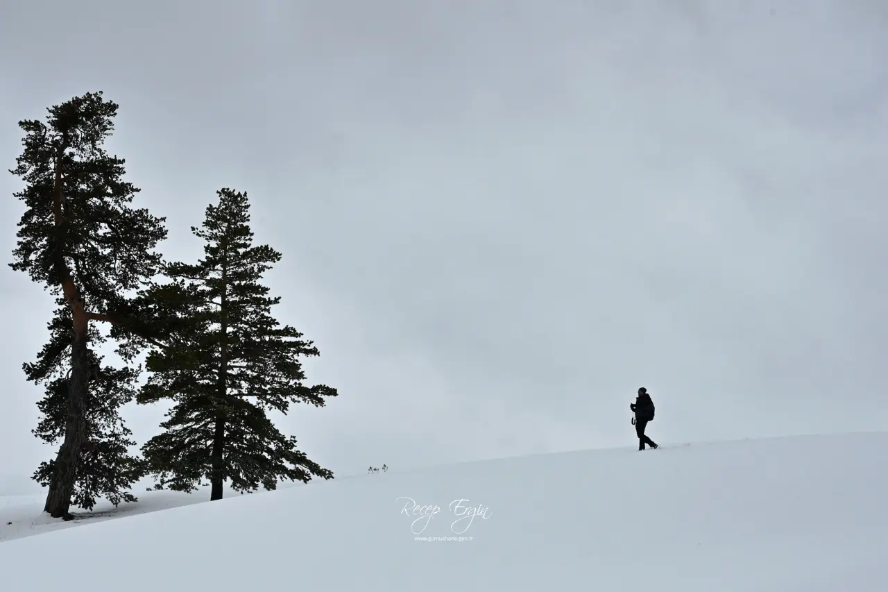 Gümüşhane’nin Alpleri Tersun Dağı’nda büyüleyici görüntüler 24