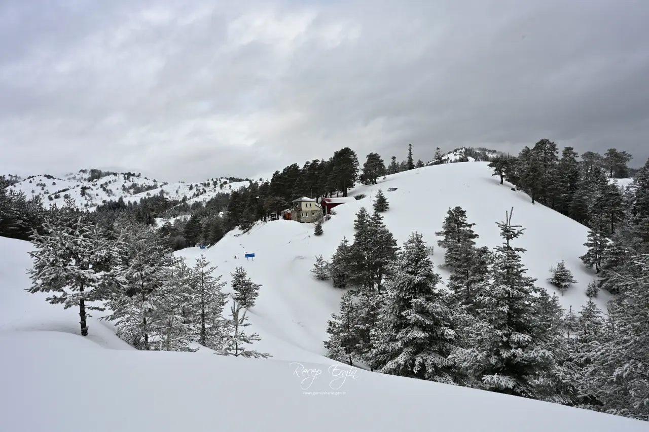 Gümüşhane’nin Alpleri Tersun Dağı’nda büyüleyici görüntüler 14