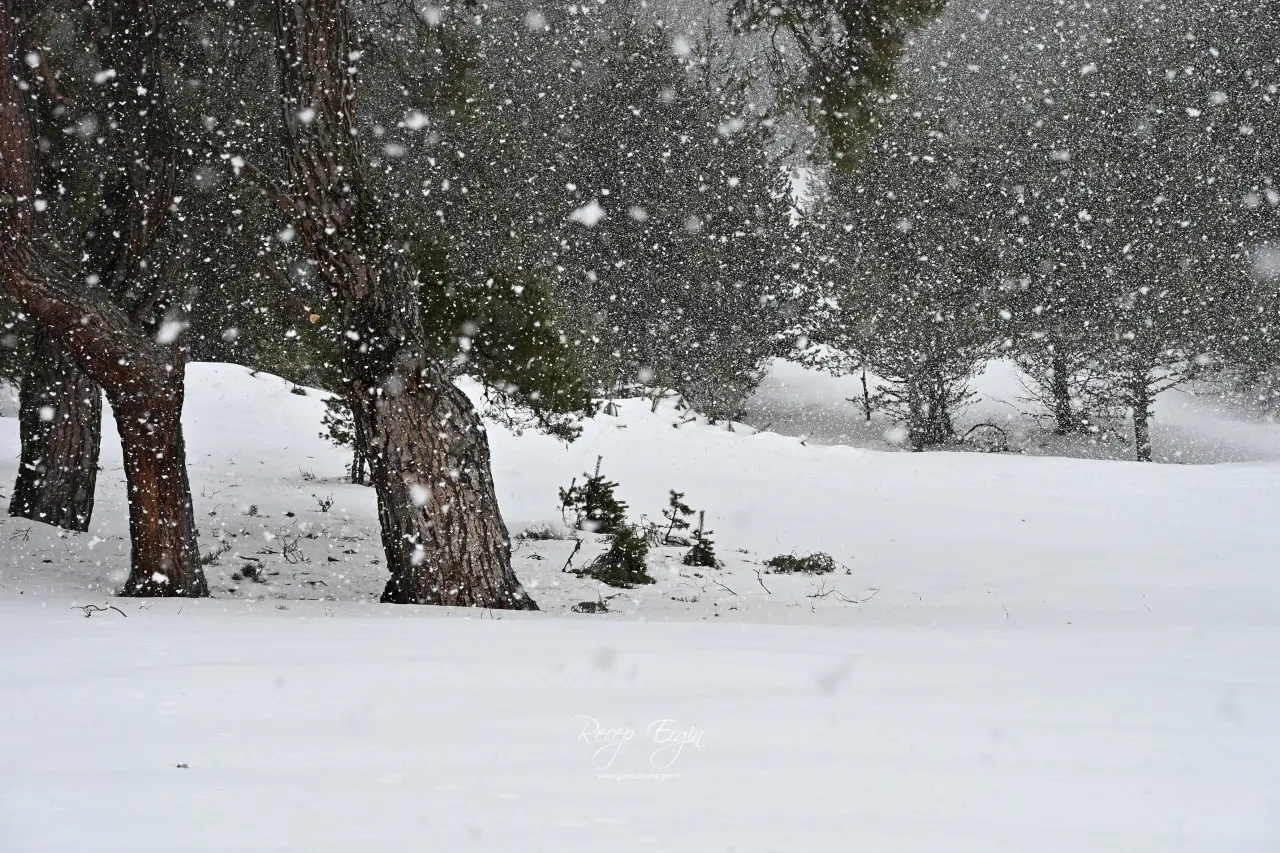 Bir günde dört mevsimi birden yaşadılar 33