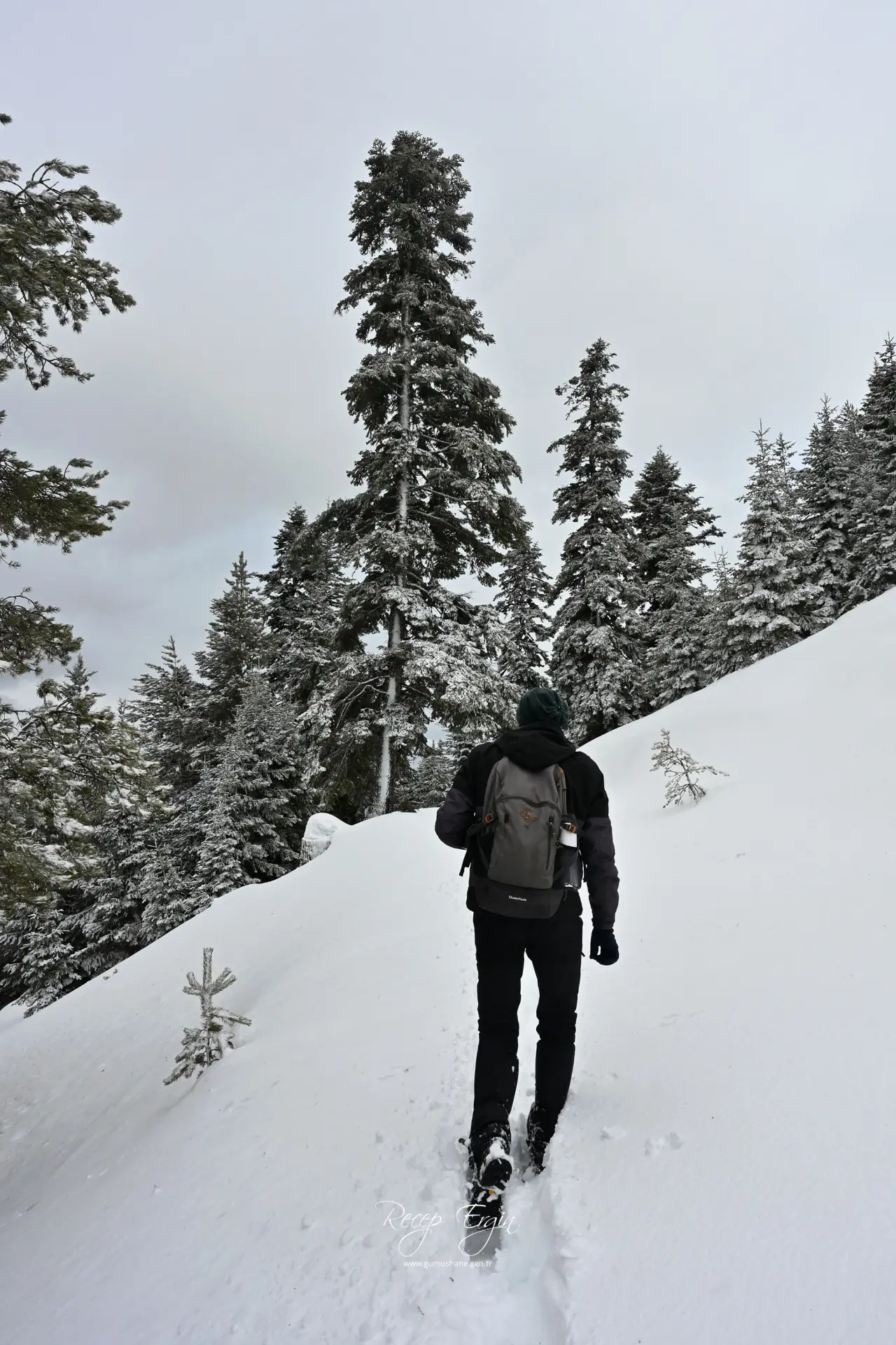 Gümüşhane’nin Alpleri Tersun Dağı’nda büyüleyici görüntüler 21