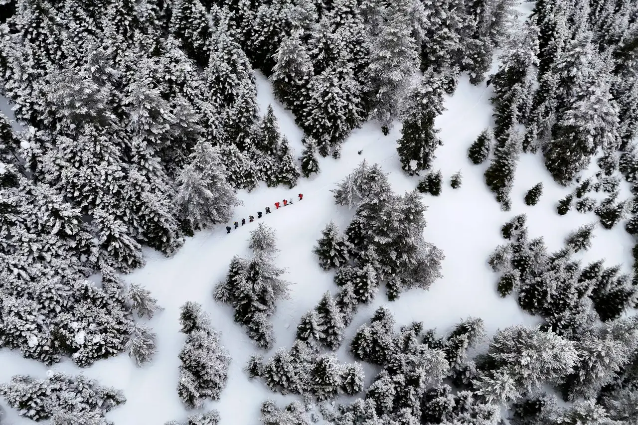 Gümüşhane’nin Alpleri Tersun Dağı’nda büyüleyici görüntüler 6