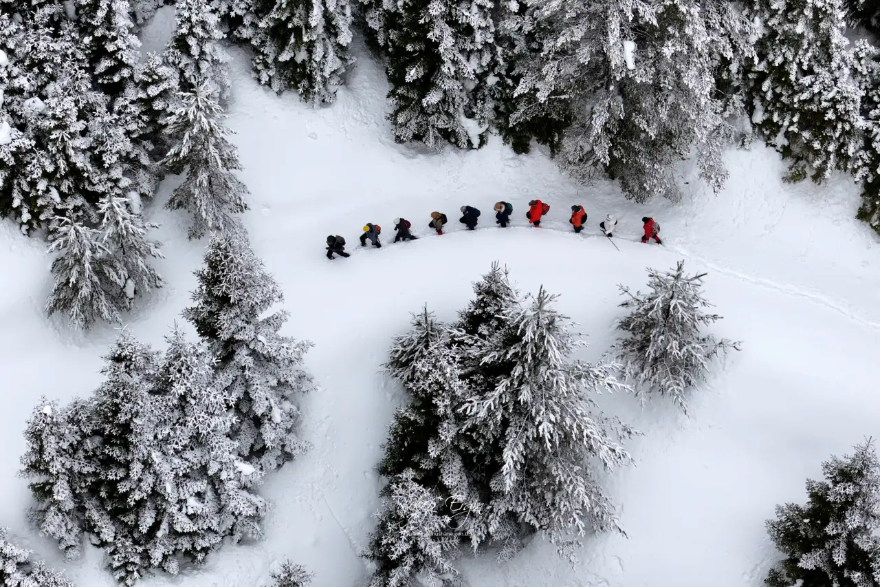 Gümüşhane’nin Alpleri Tersun Dağı’nda büyüleyici görüntüler 7