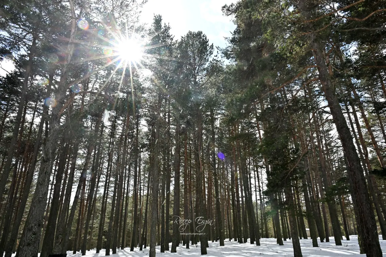 Bir günde dört mevsimi birden yaşadılar 38