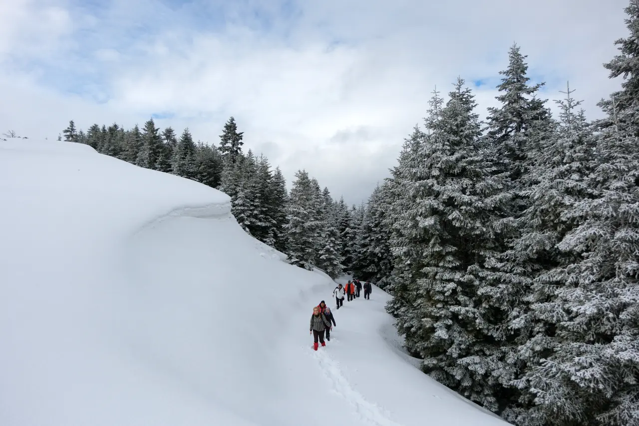 Gümüşhane’nin Alpleri Tersun Dağı’nda büyüleyici görüntüler 29