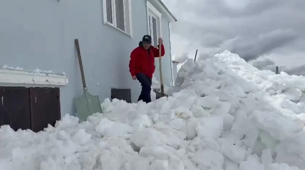 Gümüşhane’de akılalmaz olay: Ayılar bu kez kapıdan değil 2.katın penceresinden girdi! 1