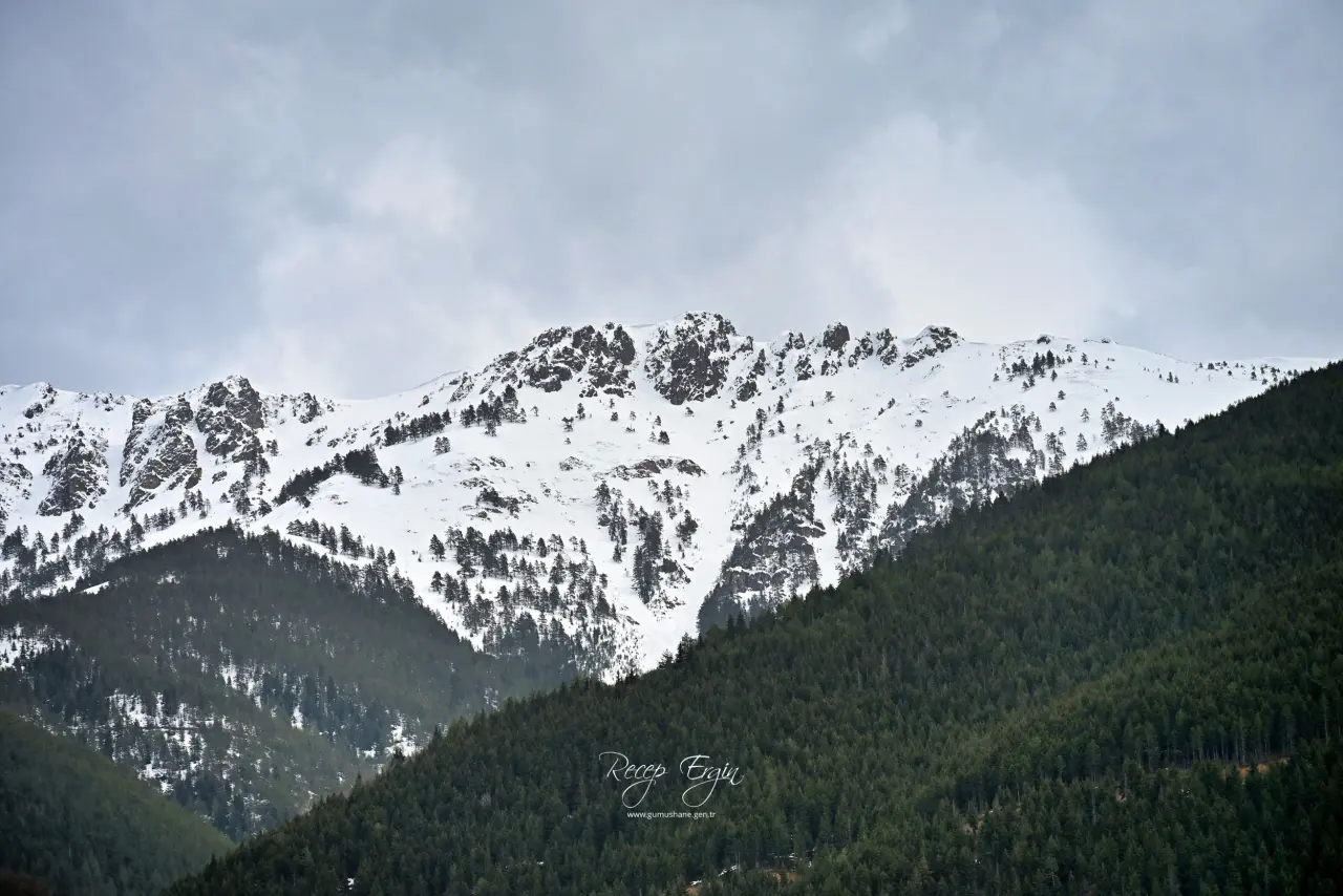 Gümüşhane’de baharın renkleri kışın beyazıyla kucaklaştı 4