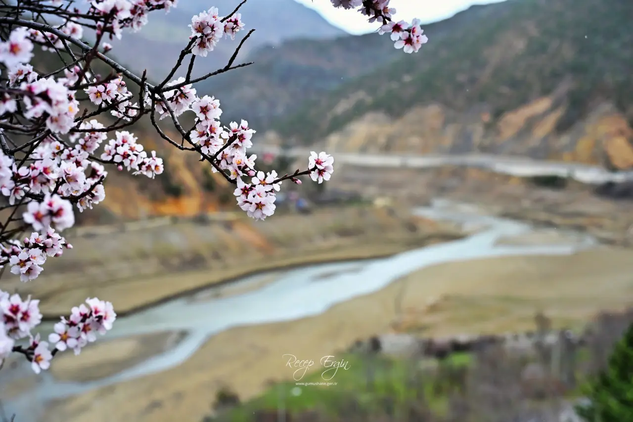 Gümüşhane’de baharın renkleri kışın beyazıyla kucaklaştı 10