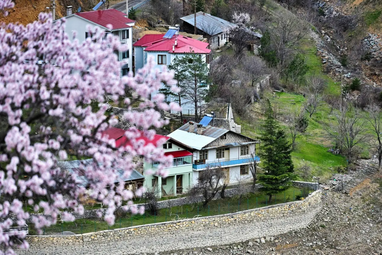 Gümüşhane’de baharın renkleri kışın beyazıyla kucaklaştı 8