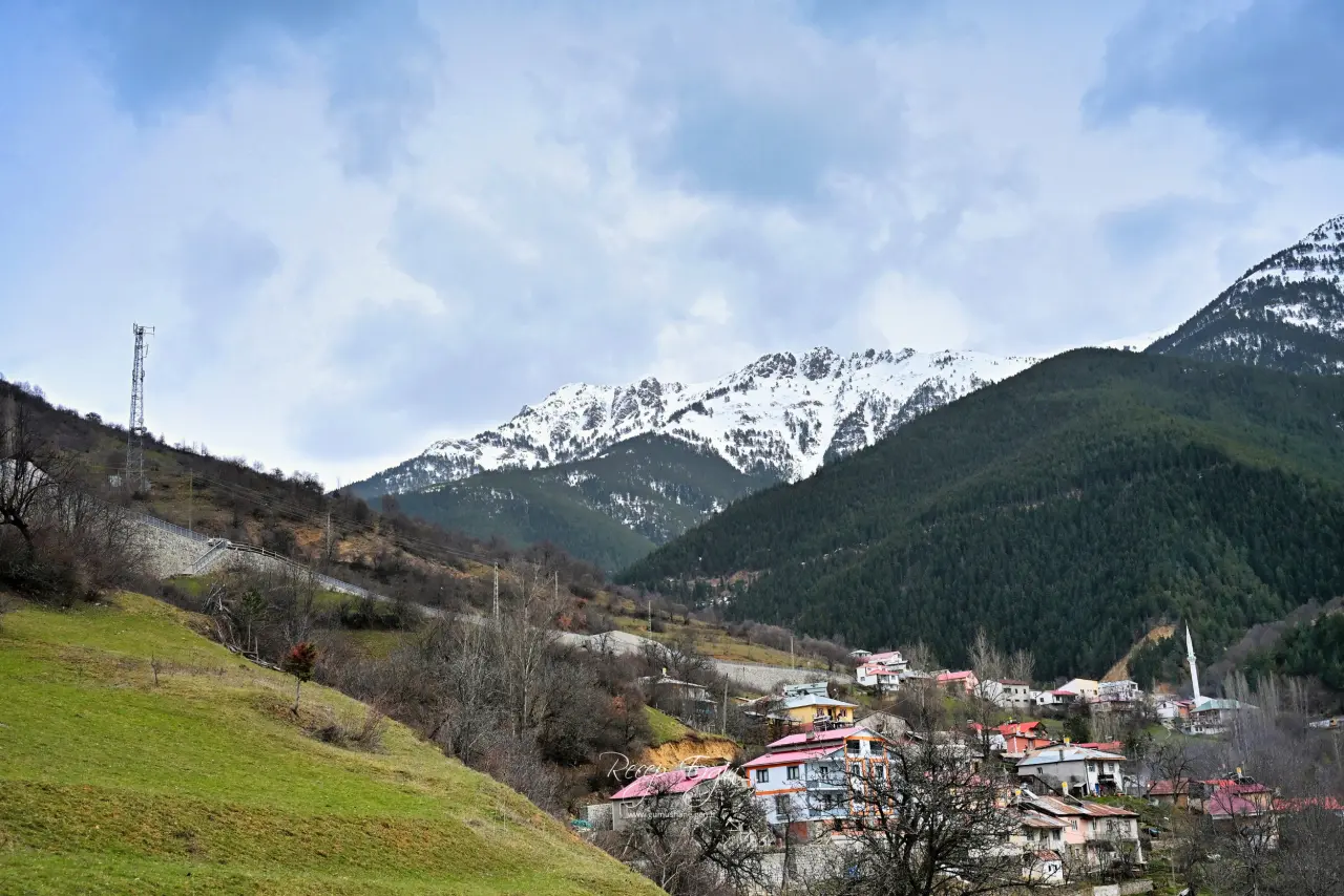 Gümüşhane’de baharın renkleri kışın beyazıyla kucaklaştı 3