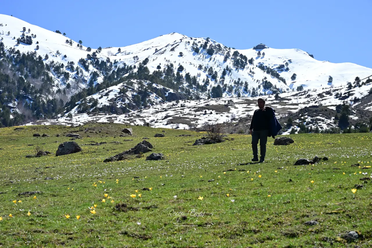 Gümüşhane’de iki mevsim bir arada: Bir yanda kar, bir yanda çiçek 18
