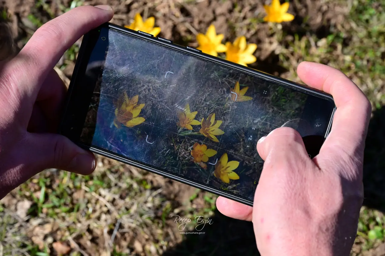 Gümüşhane’de iki mevsim bir arada: Bir yanda kar, bir yanda çiçek 14