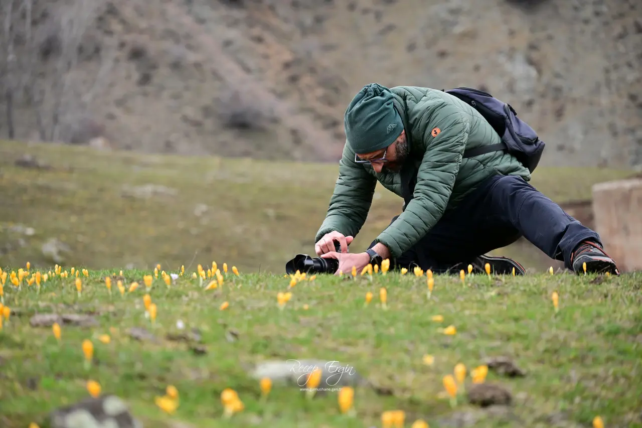 Gümüşhane’de iki mevsim bir arada: Bir yanda kar, bir yanda çiçek 3