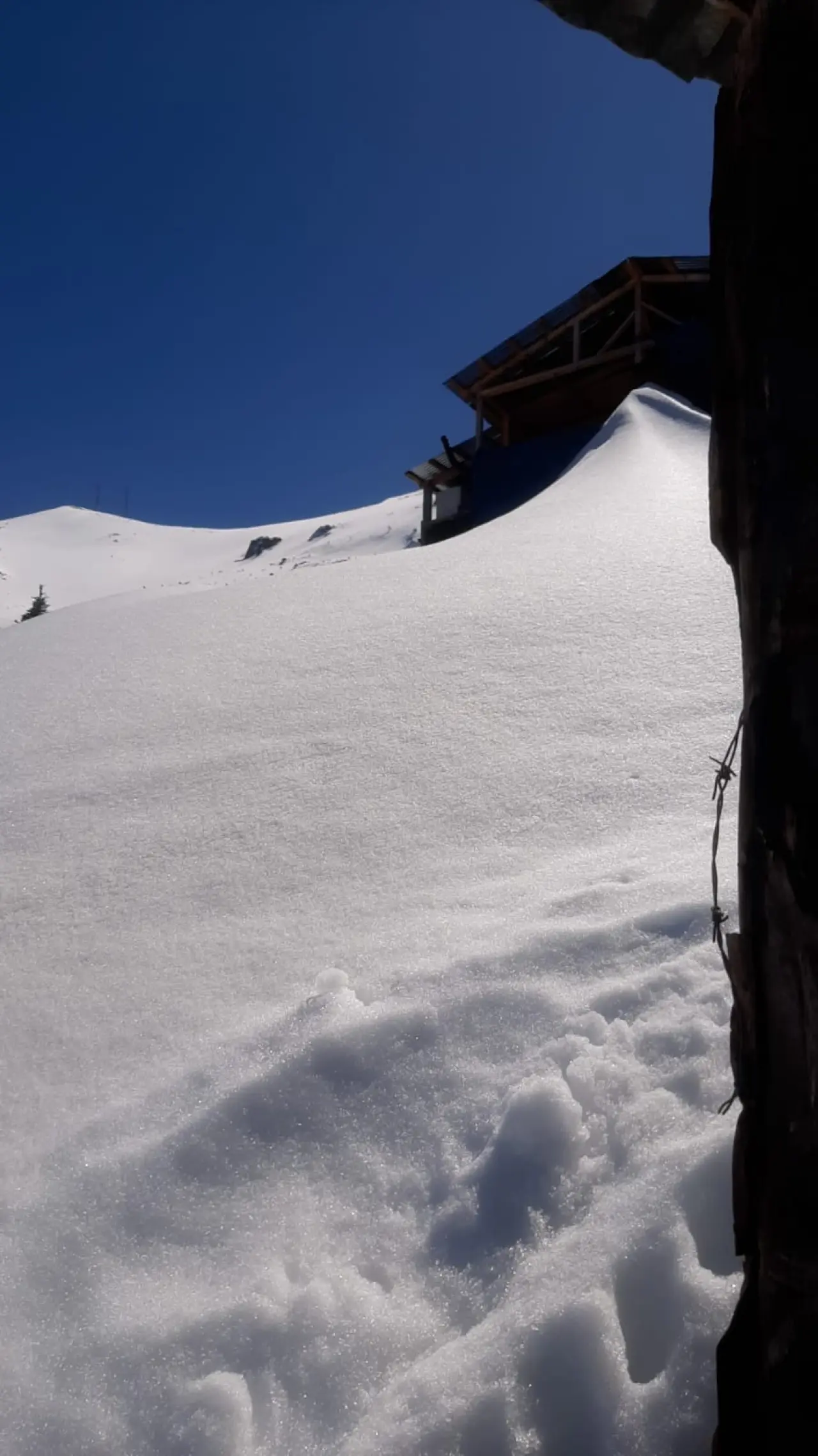 Kış Uykusundan Aç Uyandılar! Gümüşhane'de Yayla Evlerini Paramparça Ettiler 8