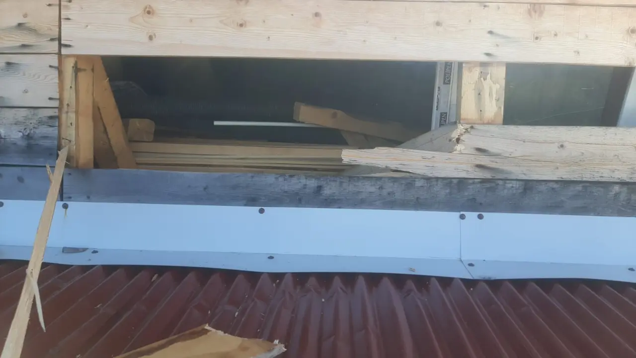 Kış Uykusundan Aç Uyandılar! Gümüşhane'de Yayla Evlerini Paramparça Ettiler 4