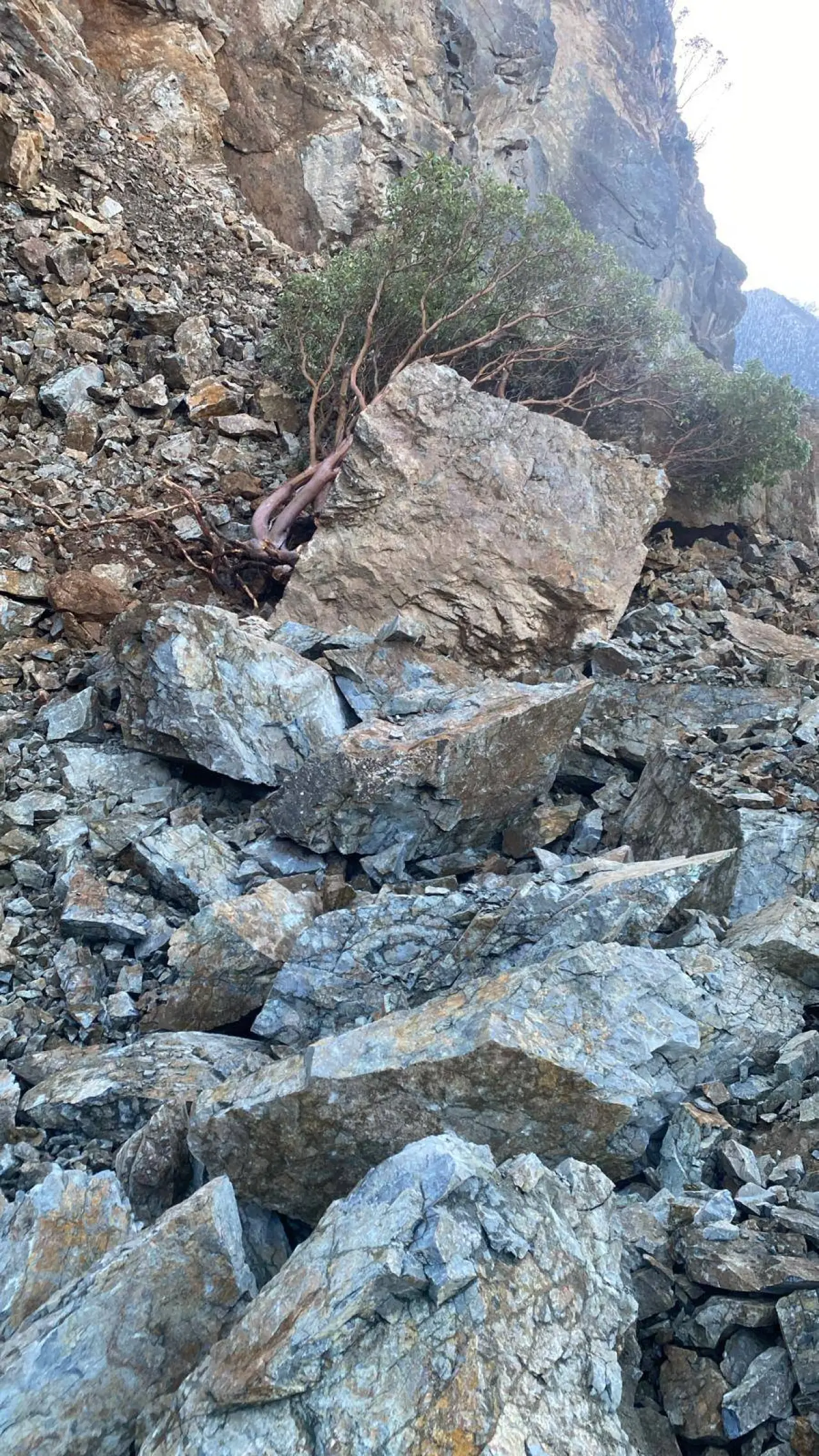 Kürtün’de dev kayalar yola indi! Karayolu çift yönlü trafiğe kapatıldı 7